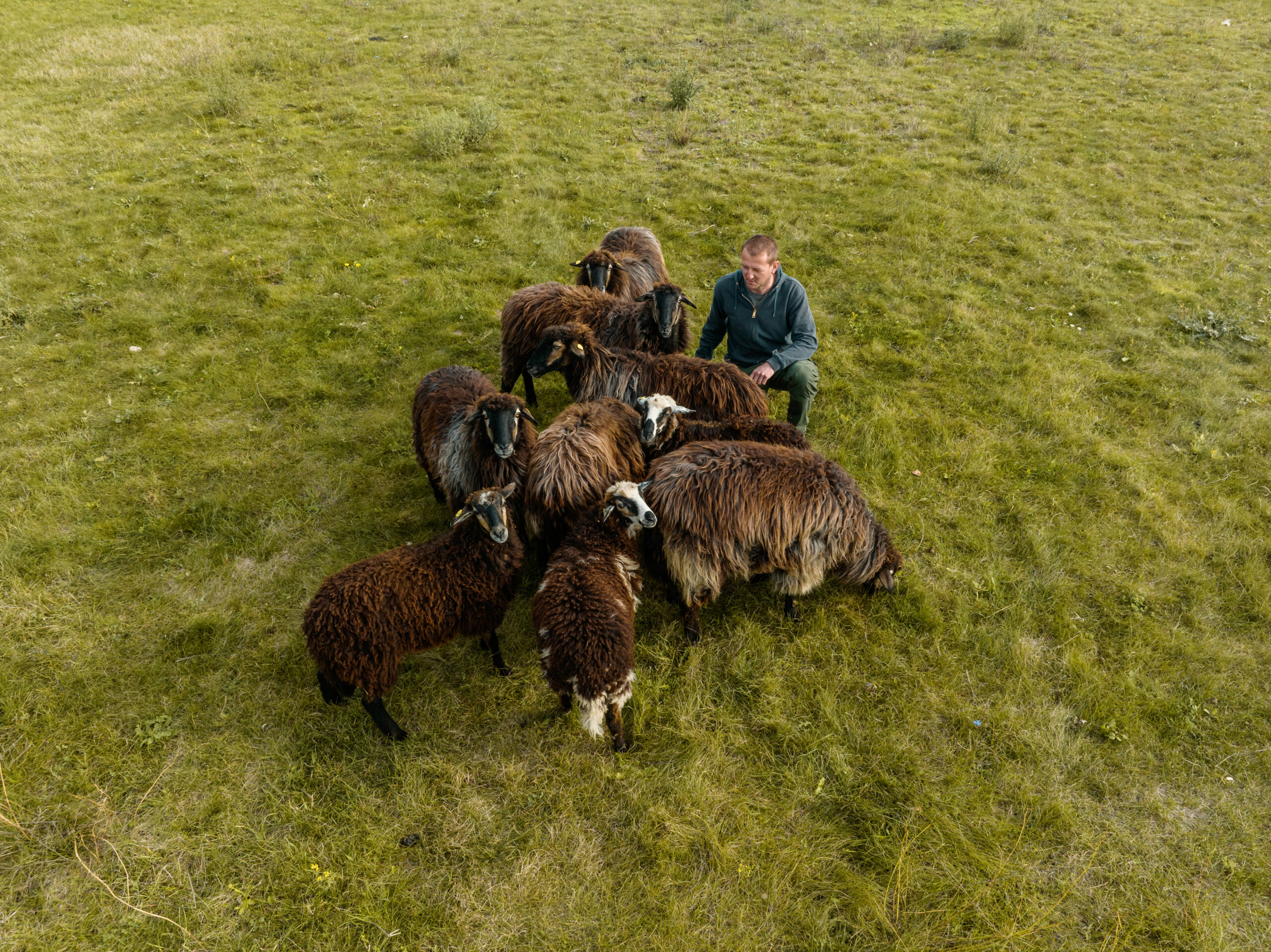 Georg Schmelzer Junior pflegt seine Schafe